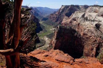 Observation point