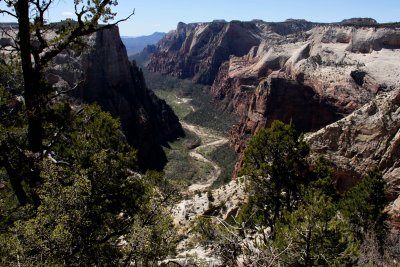 Observation Point