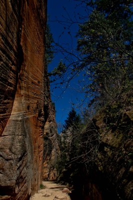 IMG_6359.jpg