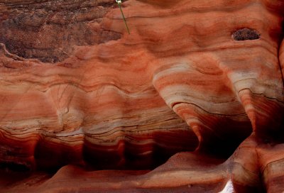 Hidden Canyon