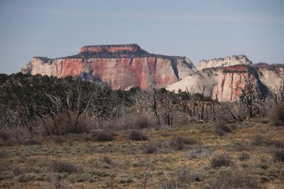 IMG_6410.jpg