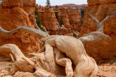 Bryce Canyon