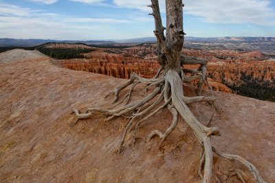 Inspiration Point