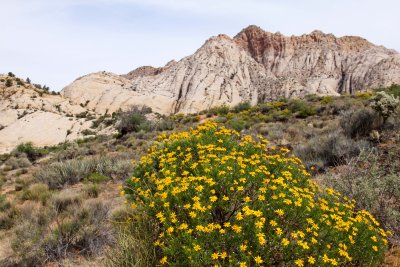 IMG_6744.jpg