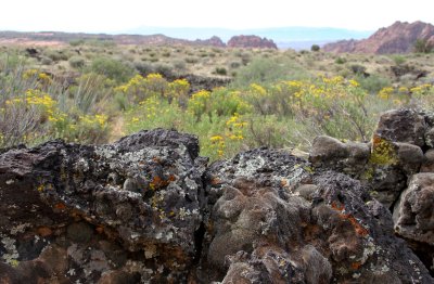 Lava flows