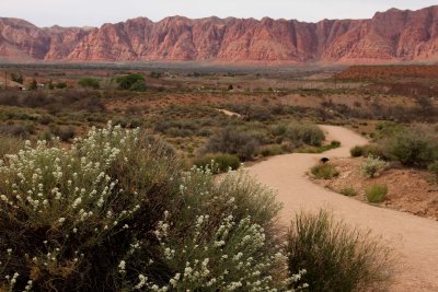 Anasazi Ridge Trail