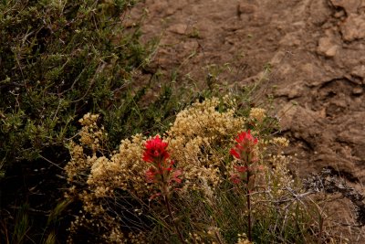 IMG_6856.jpg