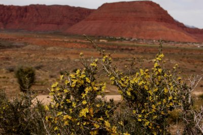 IMG_6858.jpg
