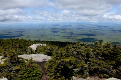 IMG_7824.jpg