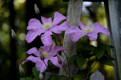 IMG_8580.jpg