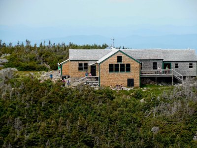 Green leaf hut