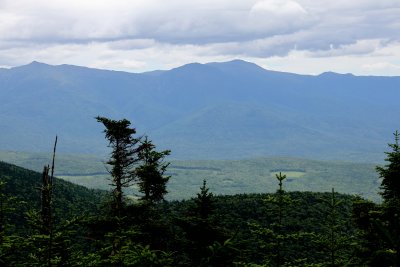 IMG_8926.jpg