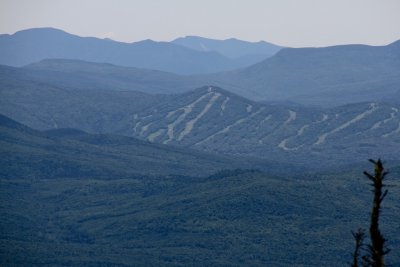 IMG_8943.jpg