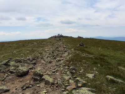 2014-07-12 12:19