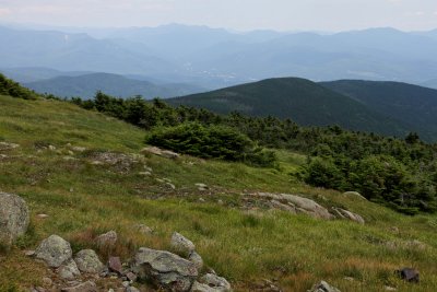 IMG_9338.jpg