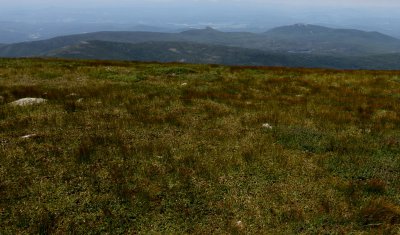 IMG_9365.jpg