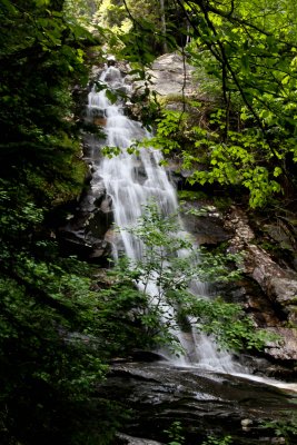 IMG_9404.jpg