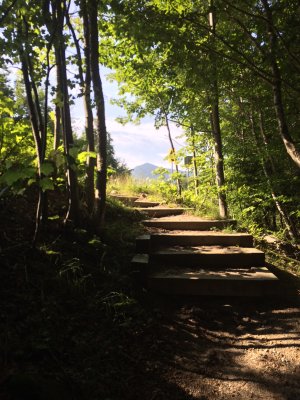 2014-07-26 09:13