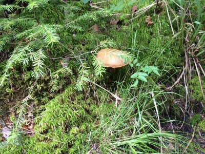 2014-07-26 14:25