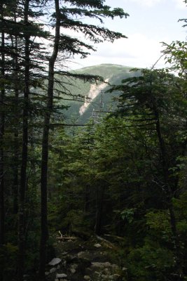 IMG_9774.jpg