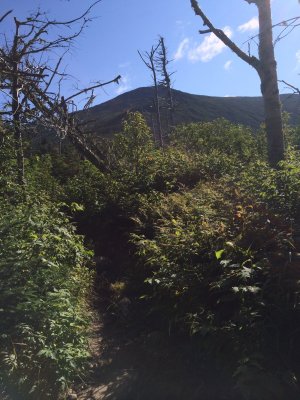 Mt. Jefferson