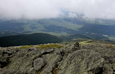 IMG_0204.jpg