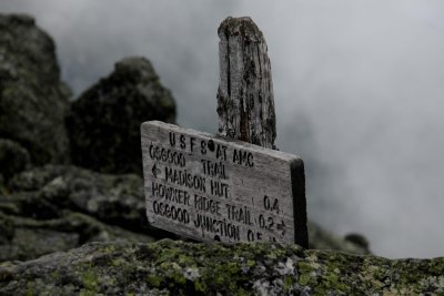 IMG_0226.jpg
