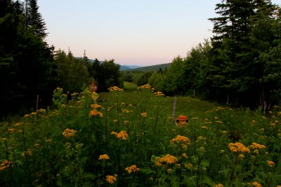 IMG_0326.jpg
