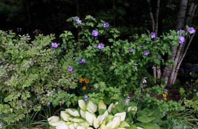 IMG_0680.jpg