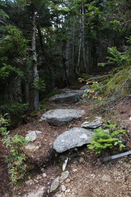 IMG_0829.jpg