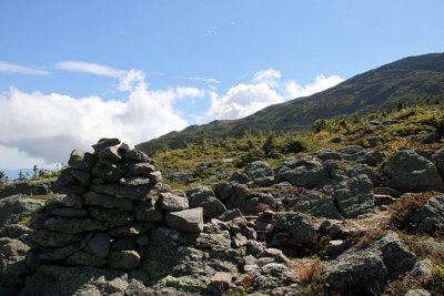 IMG_0843.jpg