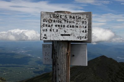 Mt. Adams #20