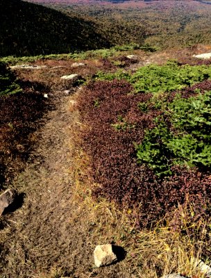 2014-09-26 12:40