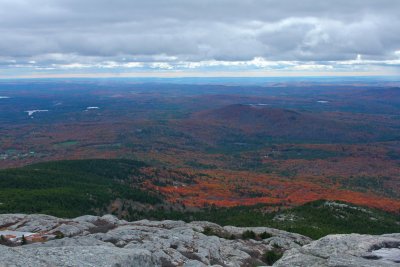 IMG_3540.jpg