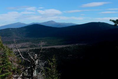 IMG_3616.jpg