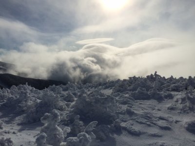 2014-12-14 13:34