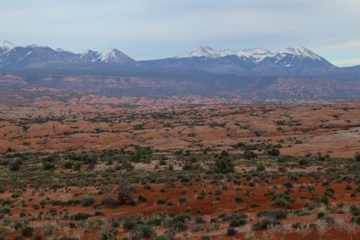 IMG_2641.jpg