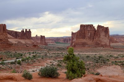 IMG_2683.jpg