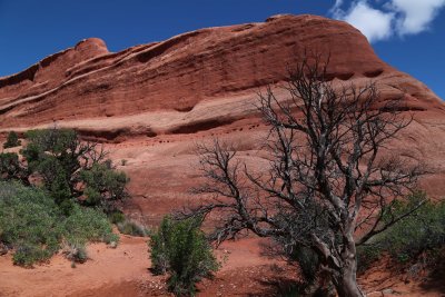 IMG_1264.jpg