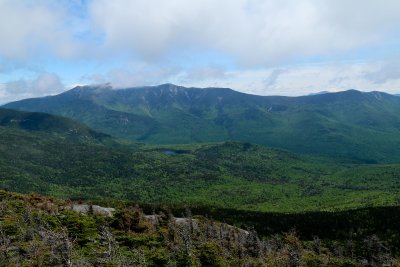 IMG_3745.jpg