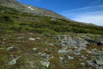 IMG_4263.jpg