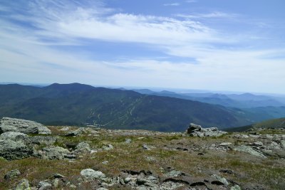 IMG_4272.jpg