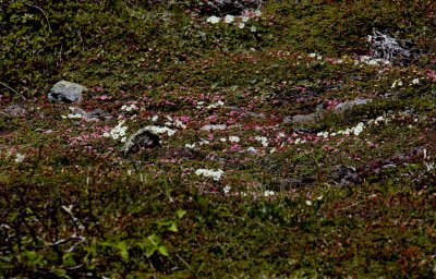 IMG_4308.jpg