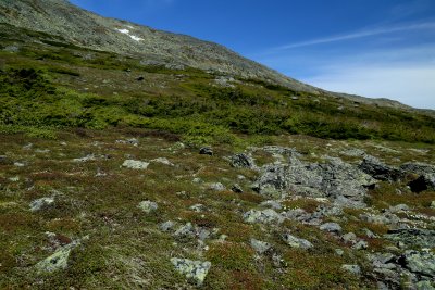 IMG_4266.jpg