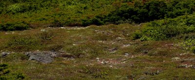 IMG_4318.jpg