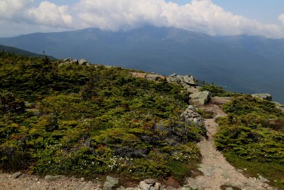 View from Mount Hight