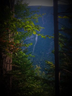 2015-08-29 19:42