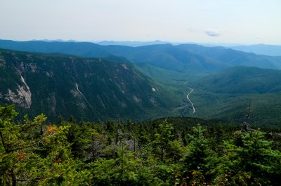 IMG_7324.jpg