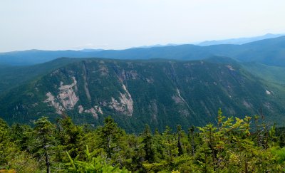 IMG_7338.jpg