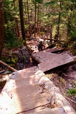 Kedron Flume to Willey Range